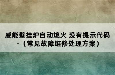 威能壁挂炉自动熄火 没有提示代码-（常见故障维修处理方案）